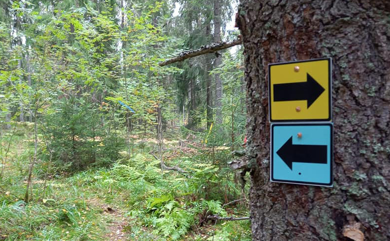 Kuvassa on Tiirismaan Trails -merkkejä. Keltainen merkki on vaativa Villilenkki ja sininen on keskivaativa Huippupolku.